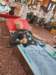 s__14172239_0_small.jpg